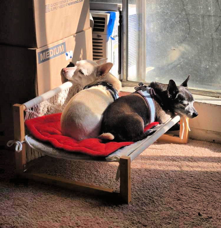 Coda and Moe